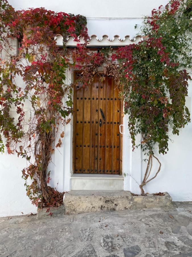 Apartamento La Parra Grazalema Exterior photo